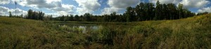 IMG_0382   